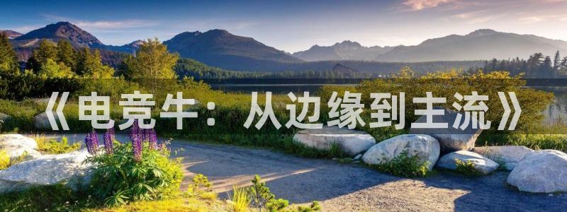 火博电竞电竞提现