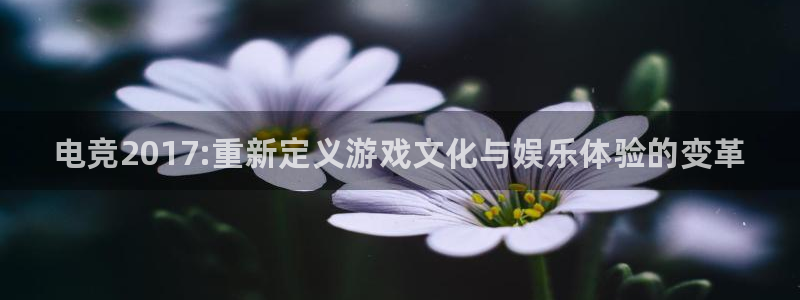 火博电竞电竞暨ly79典cn