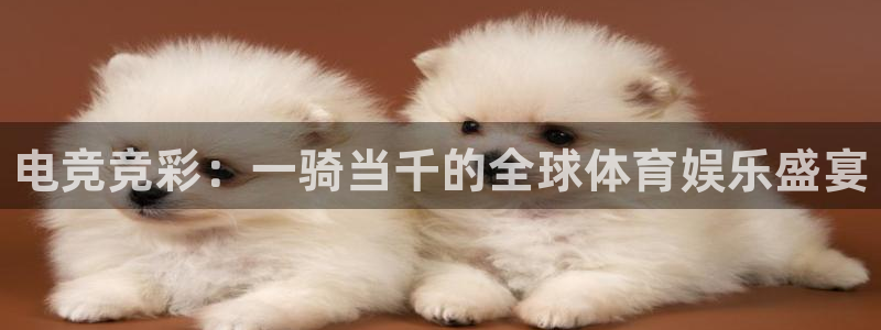 火博电竞电竞会员日：电竞竞彩：一骑当千的