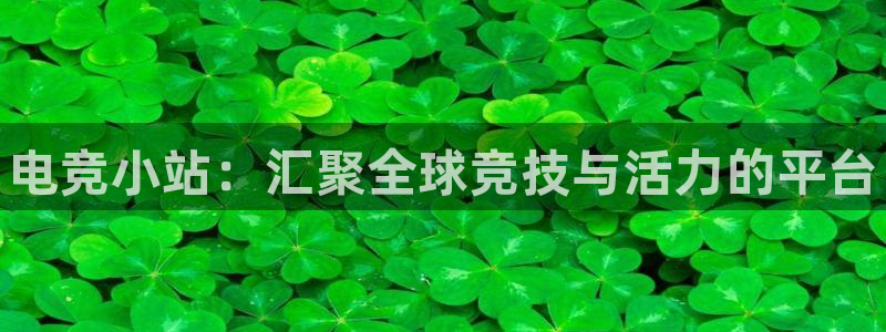 /火博电竞电竞上yb33丶me：电竞小站