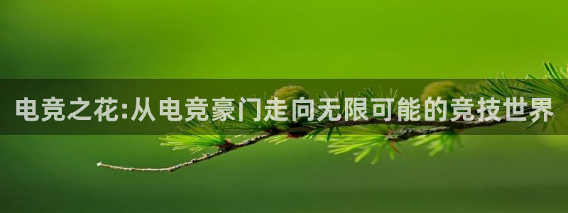 火博电竞电竞和泛亚电竞哪个好：电竞之花: