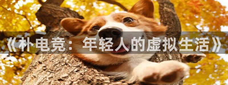 火博电竞电竞官网官方网站：《朴电竞：年轻